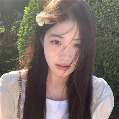 枝头凤